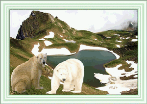 Gif animé bonne journée ours
